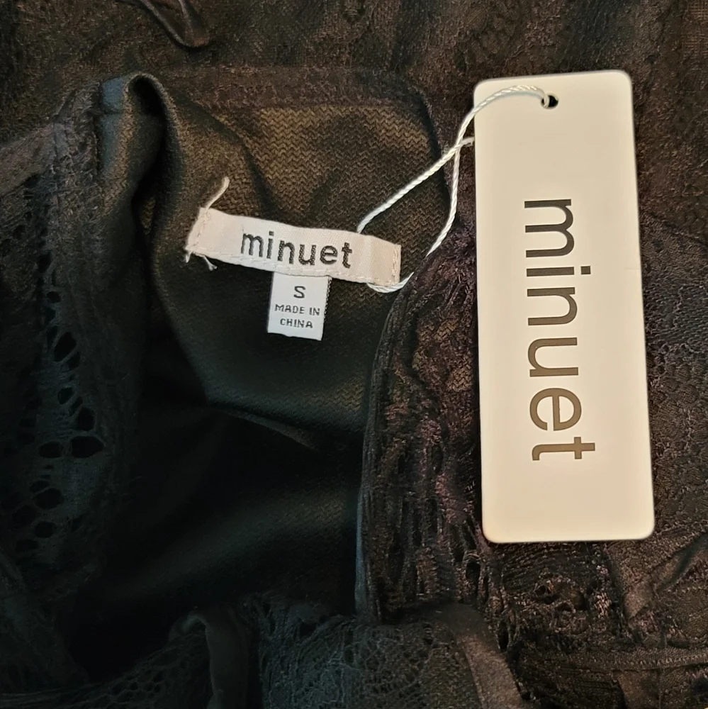 Minuet sheer lace dress - Picture 14 of 15